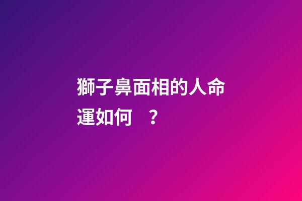 獅子鼻面相的人命運如何？